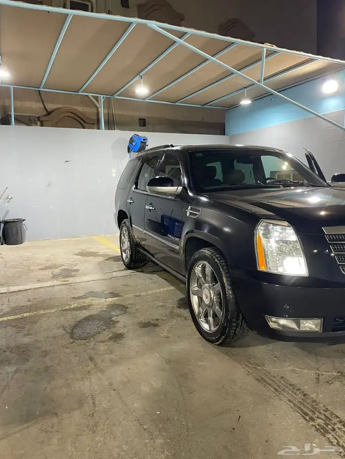 اسكاليد قصير 2014 11