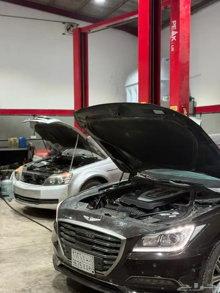 مكاين دوج جنسس شدبلد مستورد ضمان لمدة سنه 2