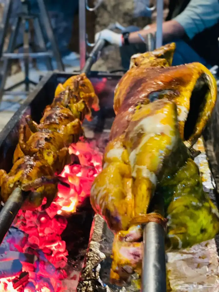 خروف الشيف الذهبي 11