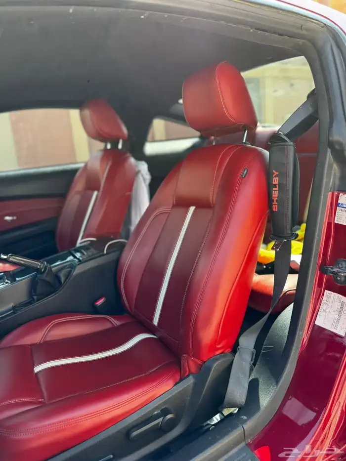 موستنق 2010 14