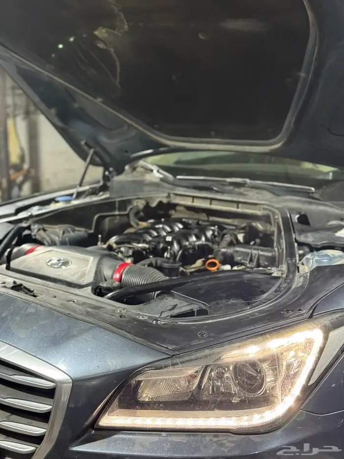 مكاين دوج جنسس شدبلد مستورد ضمان لمدة سنه 7