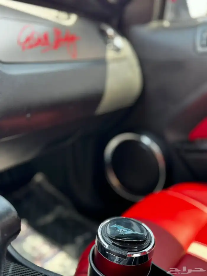 موستنق 2010 16