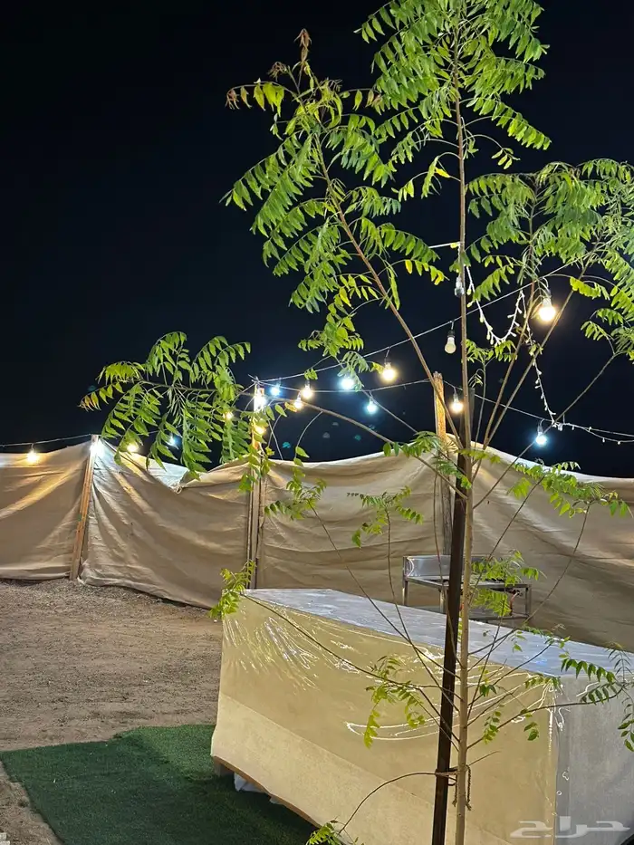 للايجار مخيم العنود قسمين 6