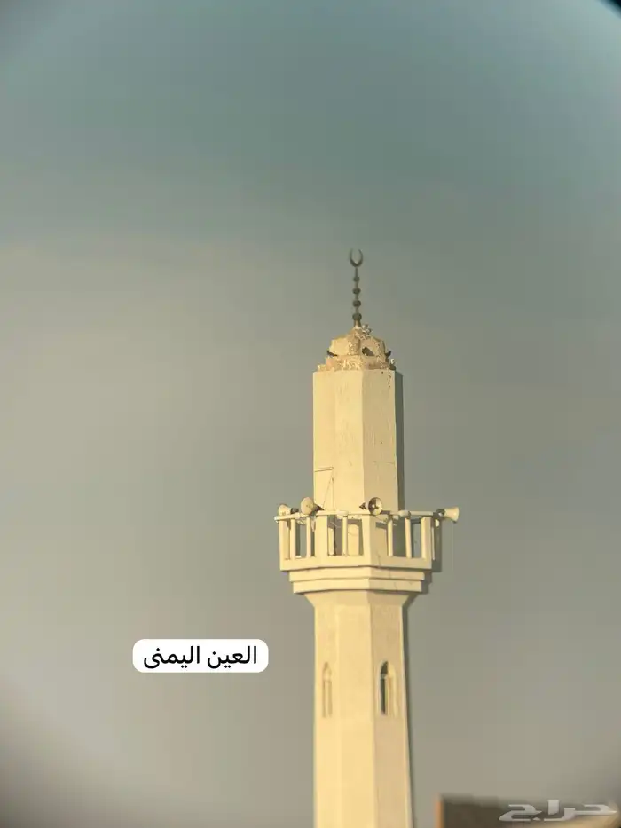 دربيل سايز 10x50 الماني منظار ناظور زايس 6