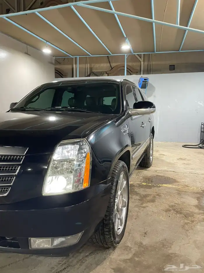 اسكاليد قصير 2014 10