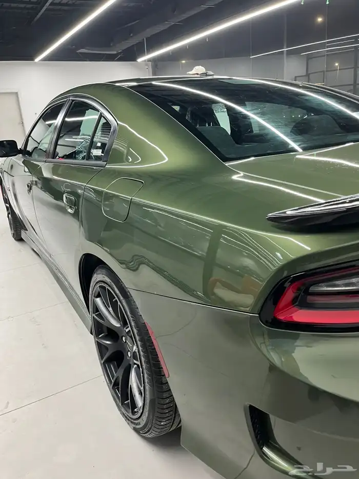 دوج نظيف جدا 11