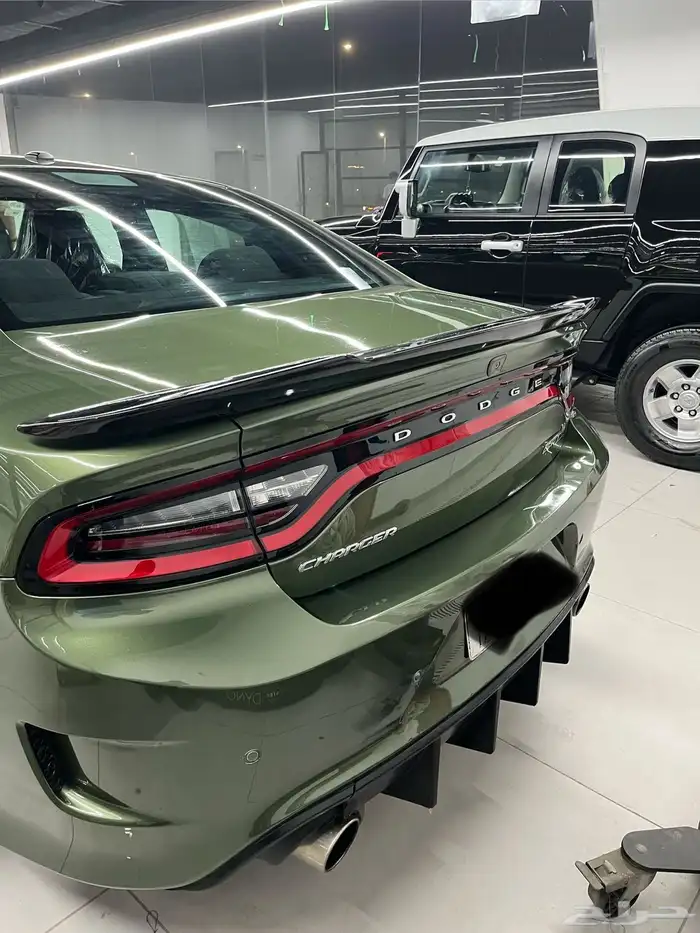 دوج نظيف جدا 10