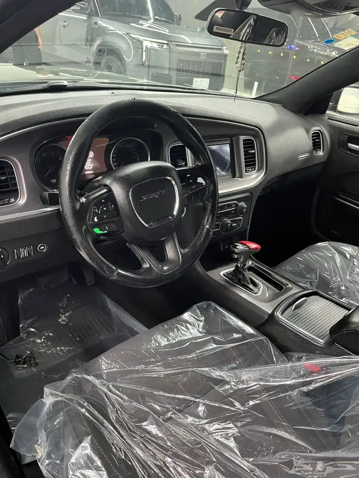 دوج نظيف جدا 5