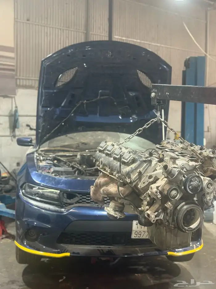 مكاين دوج جنسس شدبلد مستورد ضمان لمدة سنه 9