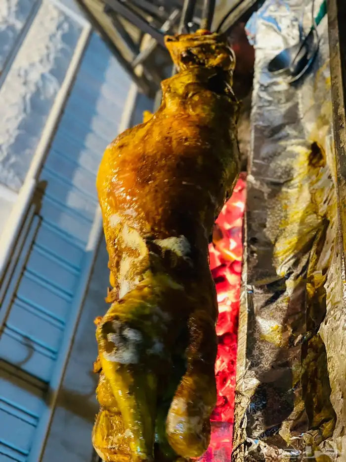 خروف الشيف الذهبي 10