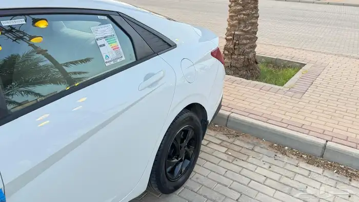 النترا 2021 ممشى 116 11