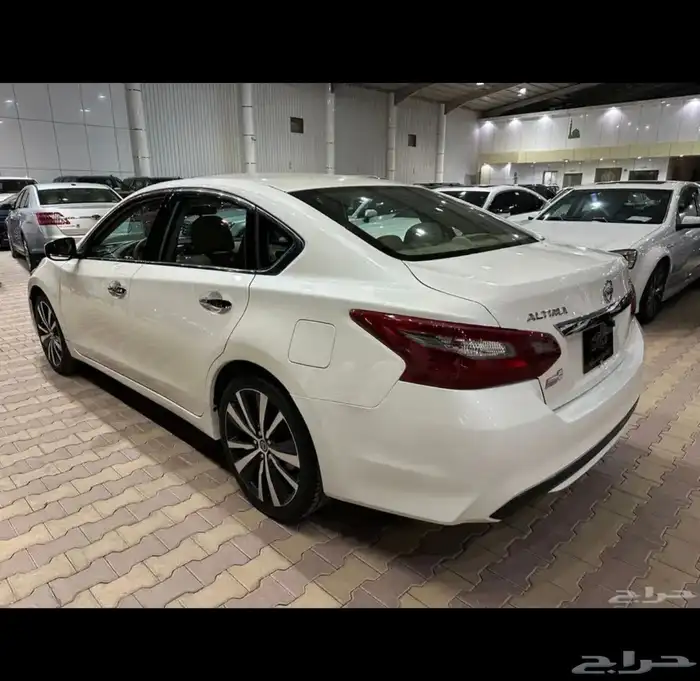 التيما 2018 11