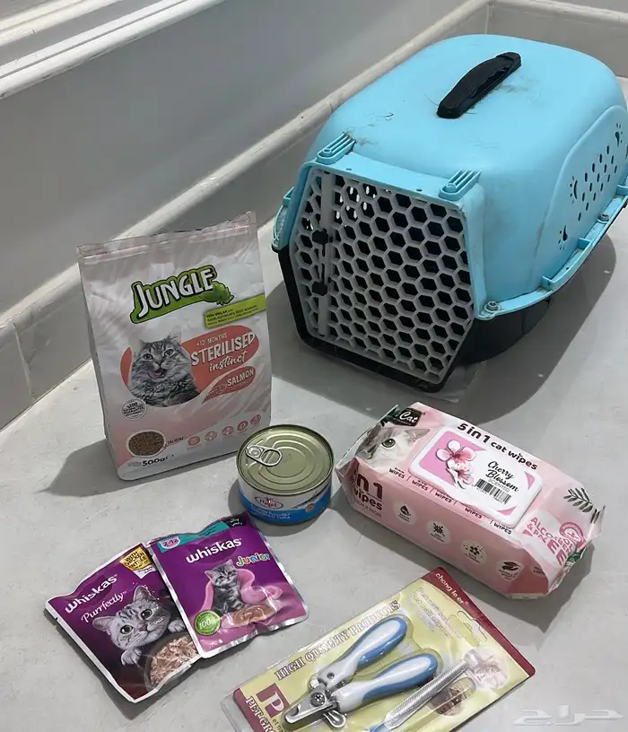 قط ذكر سكوتش فولد هملايا بلوكتين 5