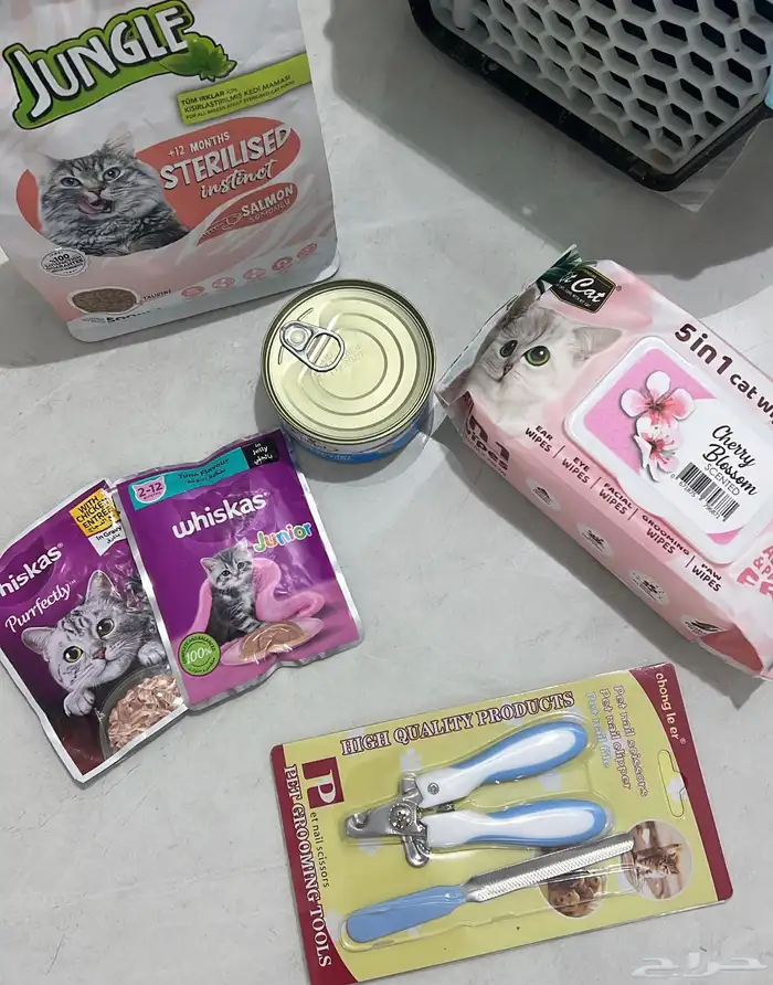 قط ذكر سكوتش فولد هملايا بلوكتين 4