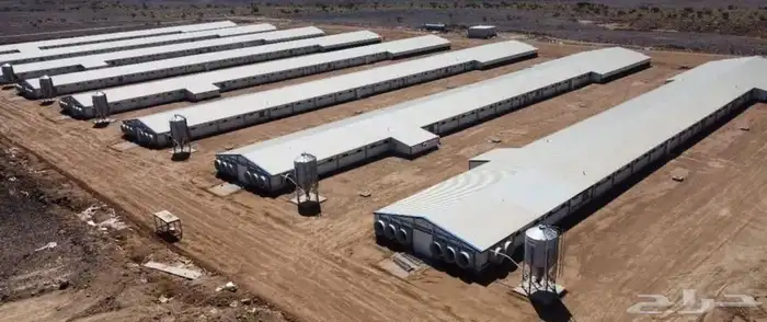 مشروع دواجن 0