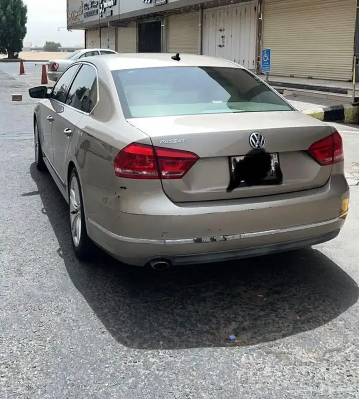 فلكس واجن باساد 2015 7