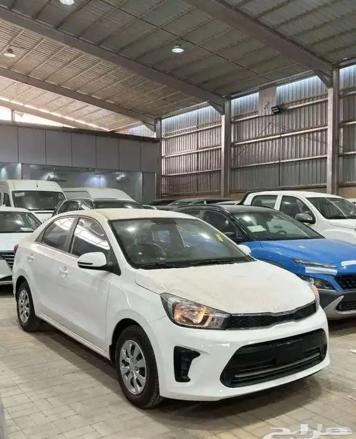 كياء بيجاس سعودي - جديد - 2025 ( اقل سعر ) 1