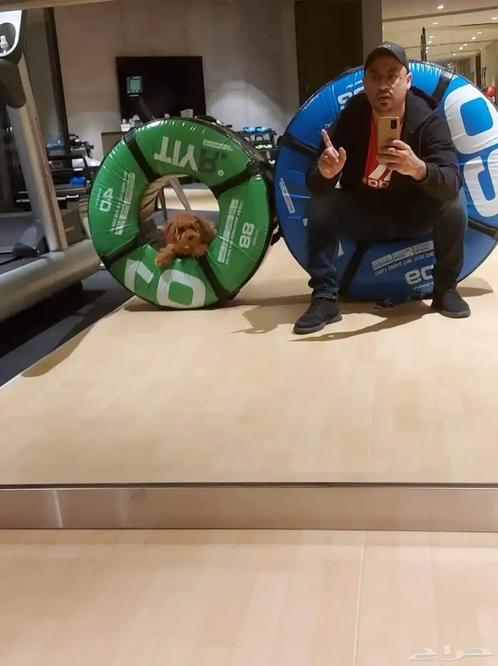 مدرب كلاب محترف بالرياض 7