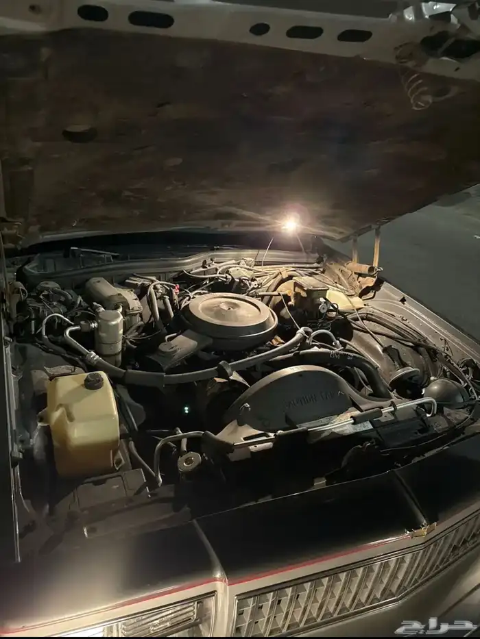 كابريس 86 صنف مخزن اليتيم 32