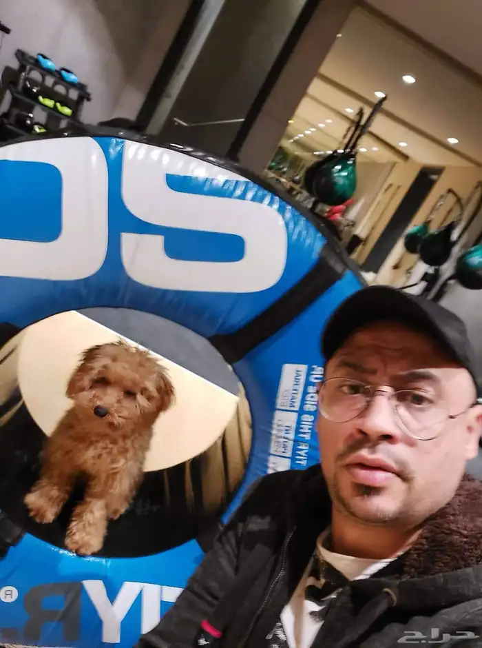 مدرب كلاب محترف بالرياض 6