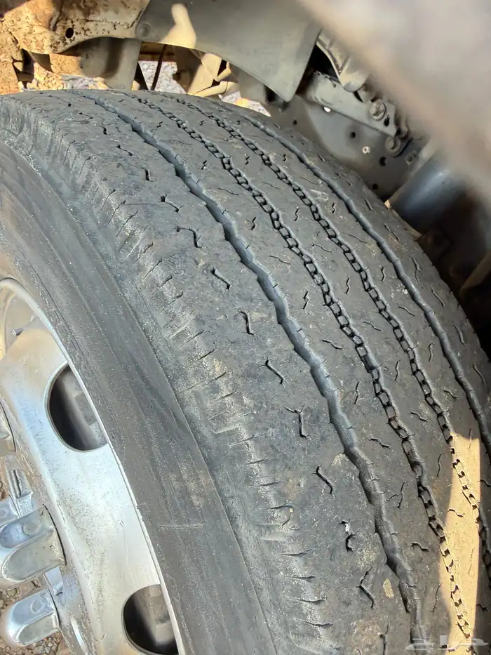 للبيع دينا 2014 9