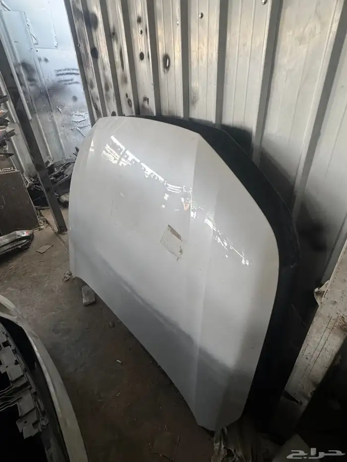 كبوت اكورد 2024   2023 ابيض وكاله تشليح 0