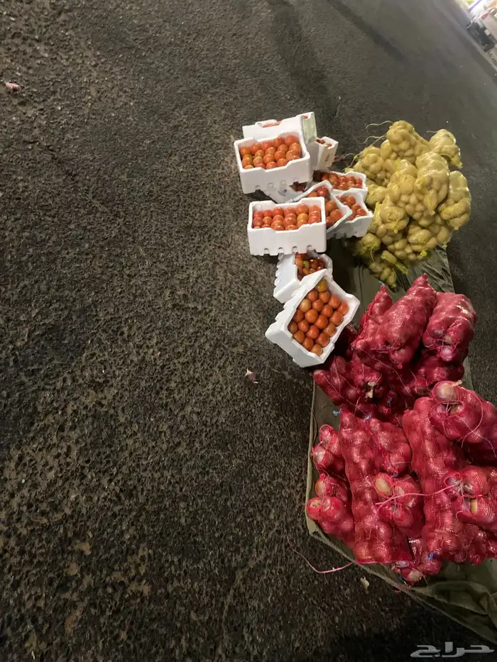 طوارق الشقق وخدمة 1