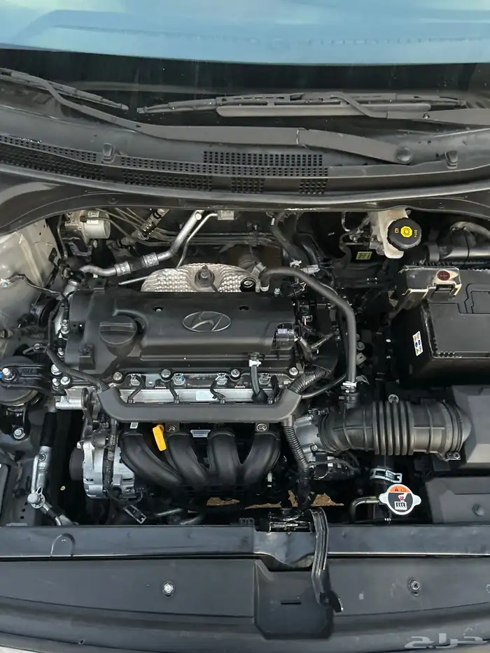 اكسنت 2022 ستاندر 11