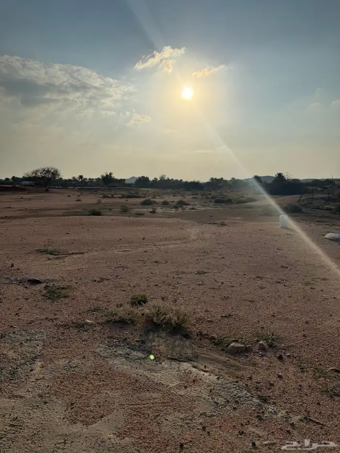 مشروع حمام فرنسي للتقبيل مزرعه 14