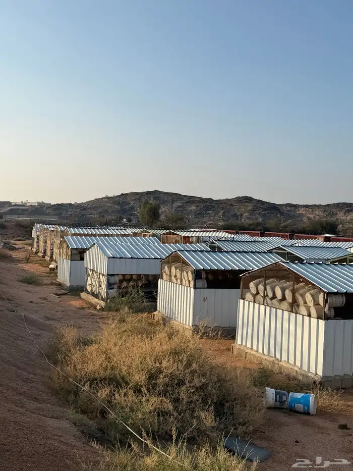 مشروع حمام فرنسي للتقبيل مزرعه 4