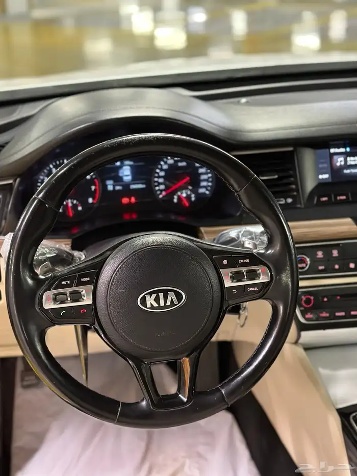 كادينزا 2017 شد بلد 16