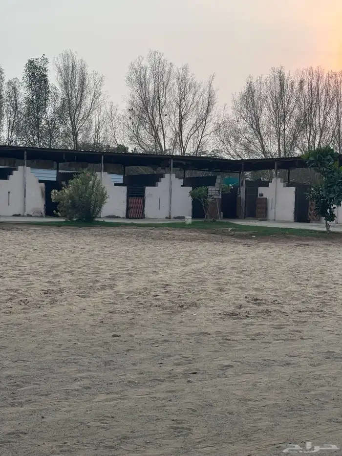 عرض ايواء غرف ايجار للخيوال 1