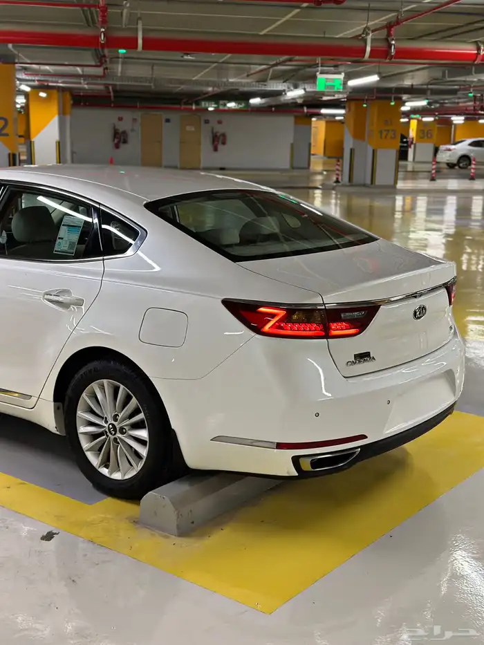 كادينزا 2017 شد بلد 7