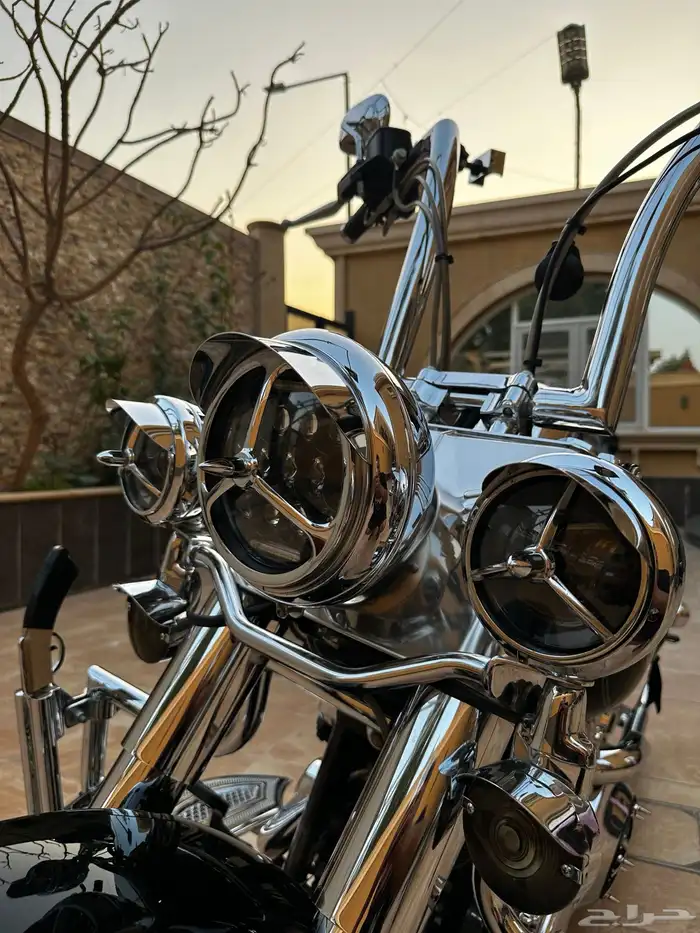 للبيع هارلي ديفيدسون 11