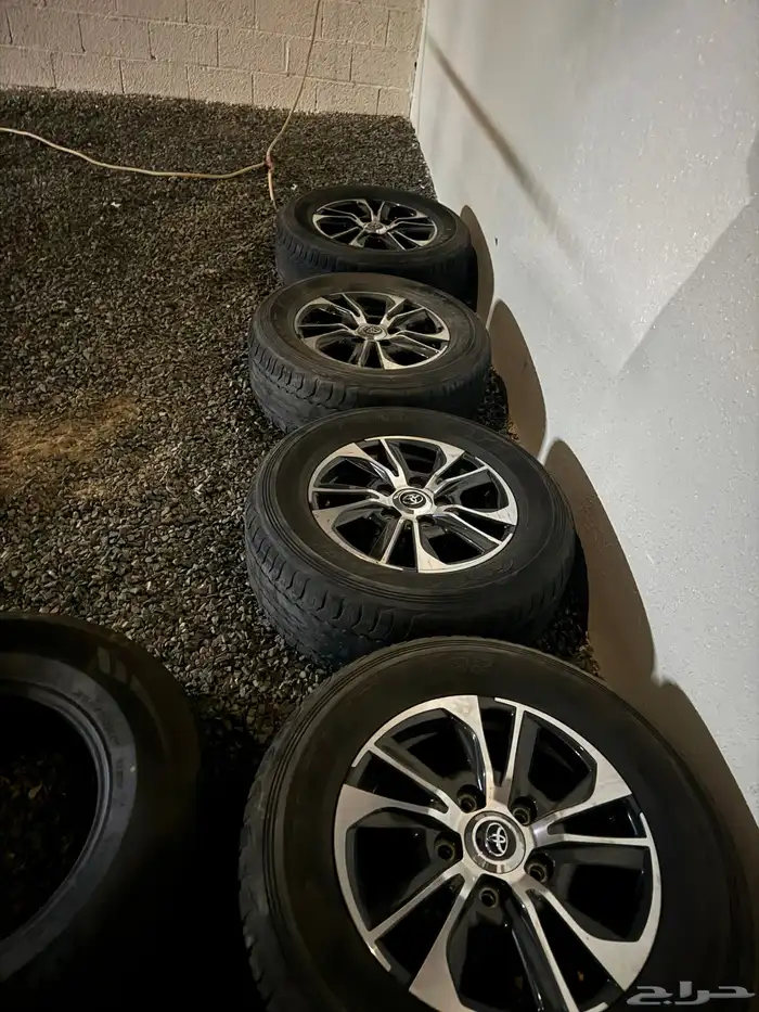 جنوط لاند كروزر 2021 0