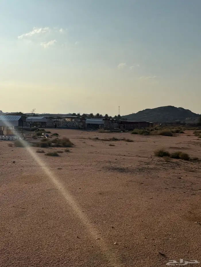 مشروع حمام فرنسي للتقبيل مزرعه 10