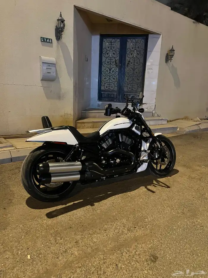 هارلي ديفيدسون نايت رود   - V- ROD Night Rod Spicial 5