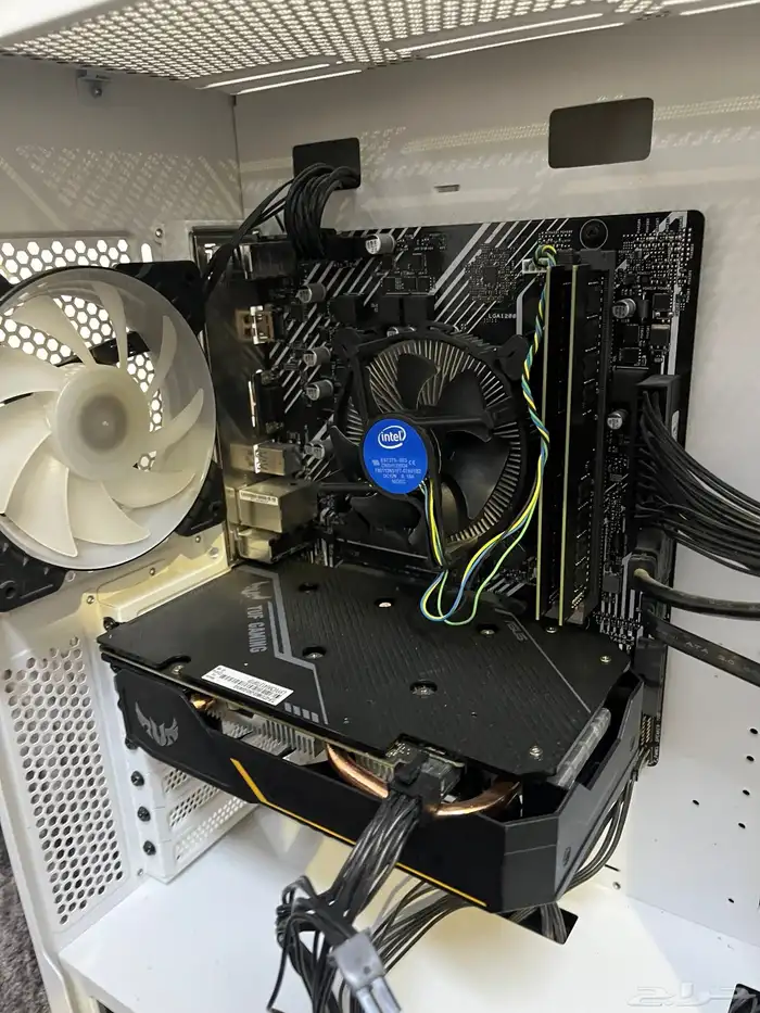 نباع الله يبارك لرعيه 0