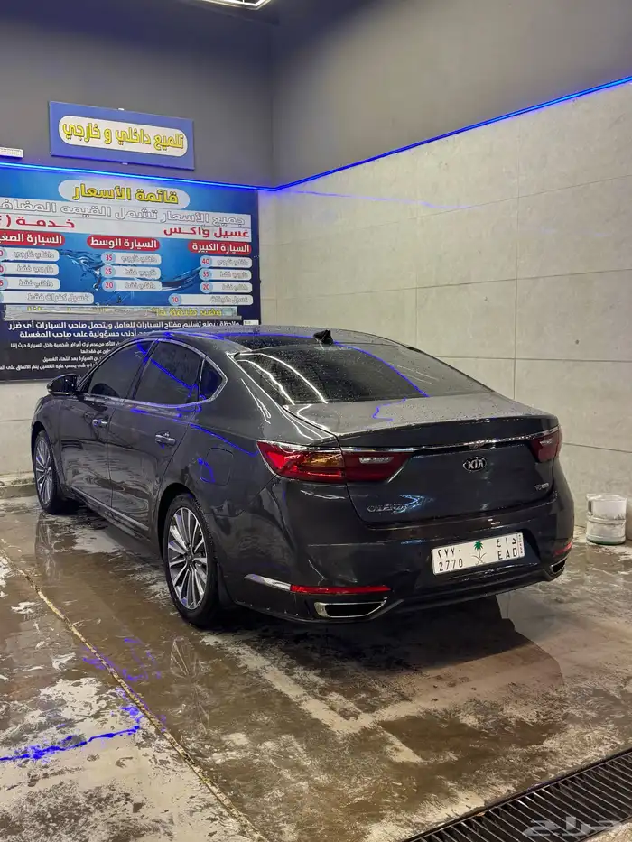 كادينزا 2017 1