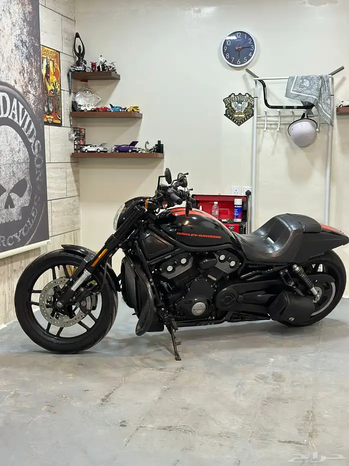 هارلي ديفيدسون نايت رود اسبيشل 0