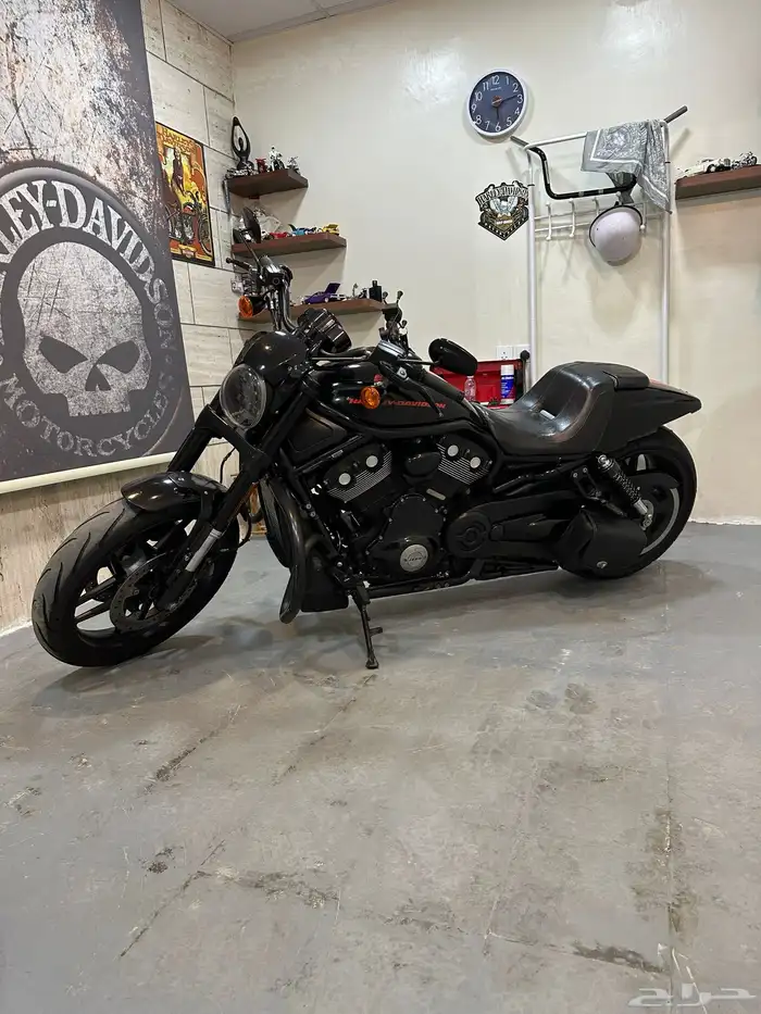 هارلي ديفيدسون نايت رود اسبيشل 2