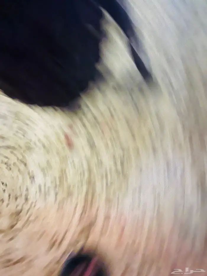 سكوتر شغال اللي صامل يجي خاص 3