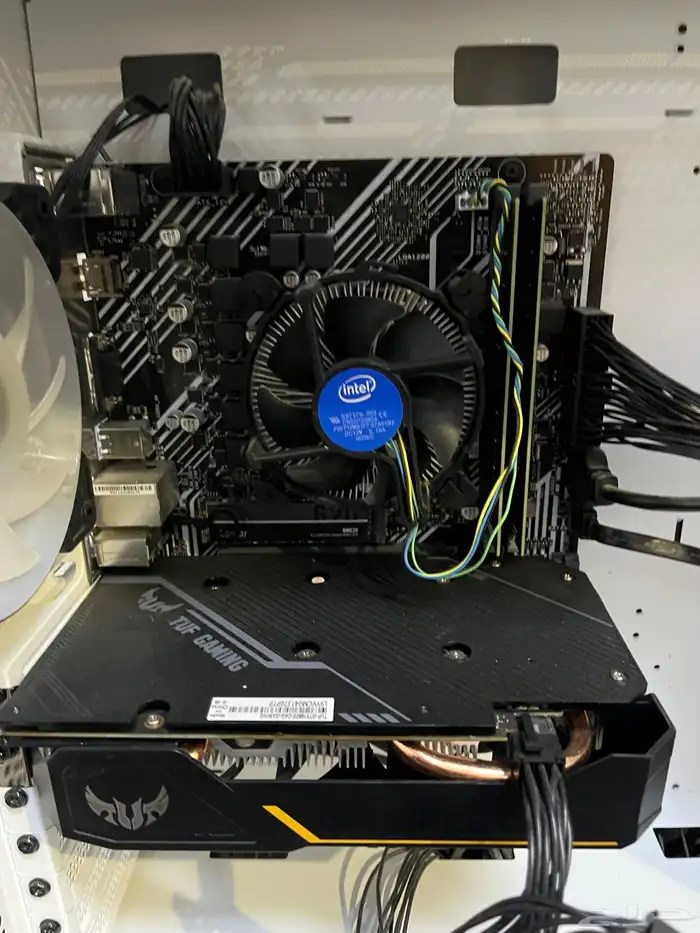 نباع الله يبارك لرعيه 1