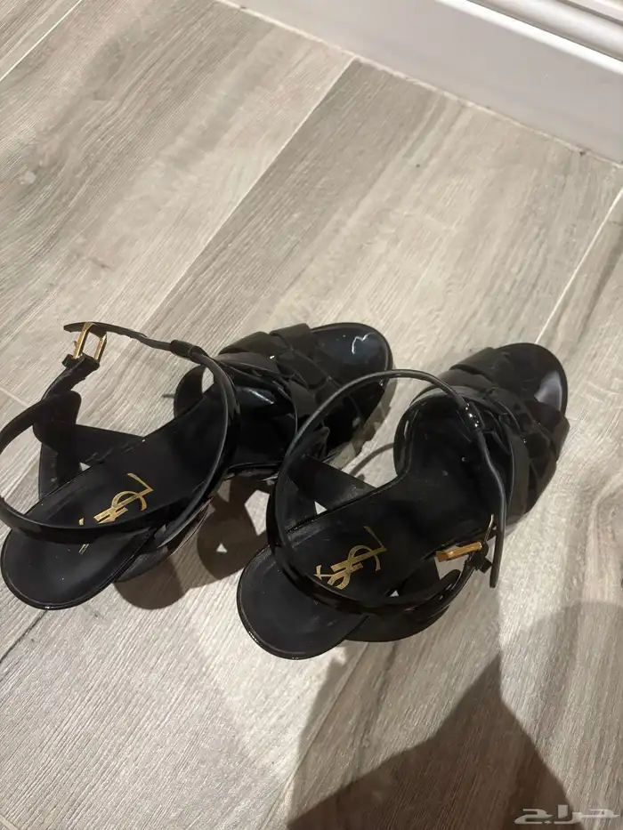 كعب سالوران 6