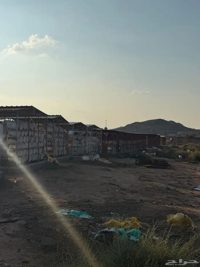 مشروع حمام فرنسي للتقبيل مزرعه 8