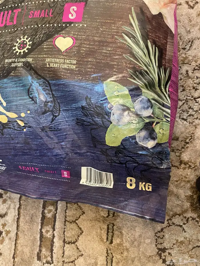 أكل حيوانات 4