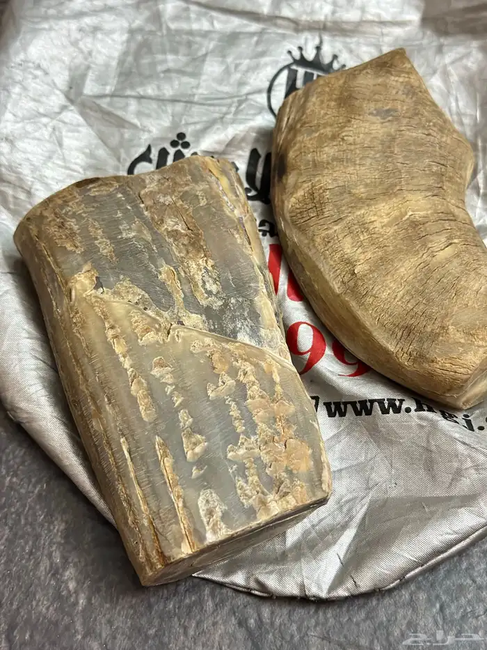 قطعتين قرن جاموس طبيعي للي يبي يقصها 8