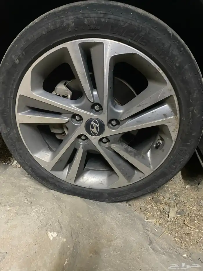 جنوط انترا 2017 2