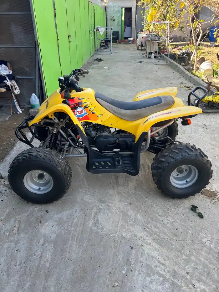 دباب سويدي مقاس 100 5