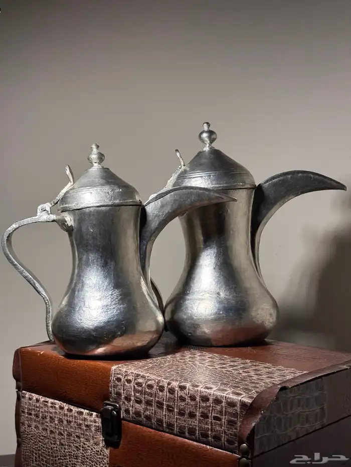 دلال بغاديد ( سيد صالح ) 0